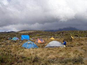 14 Kilimanjaro_01